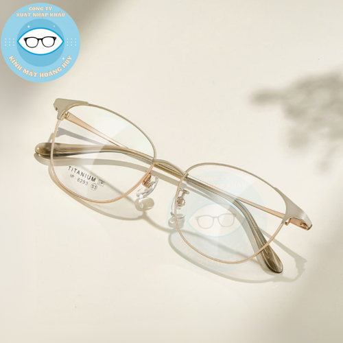 Gọng kim loại mã 6293